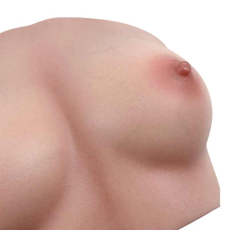 RealTorso Fake Silicone Breast Torso with Realistic skin texture Boobs Sex Toy Lifelike Breasts