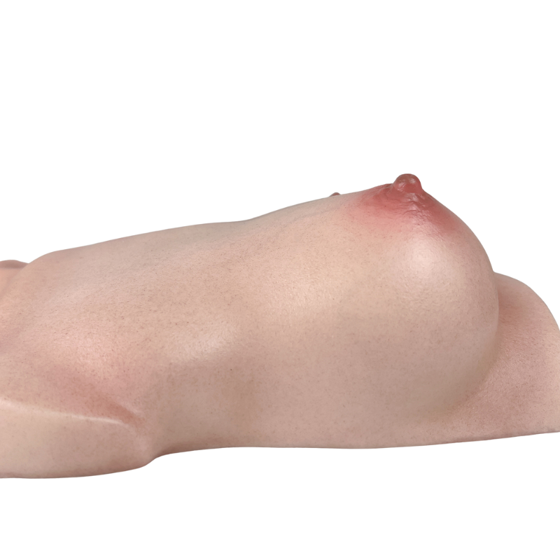 RealTorso Silicone Fake Breast Torso with Realistic Skin texture Boobs Sex Toy Lifelike Breasts Male Masturbator Stroker