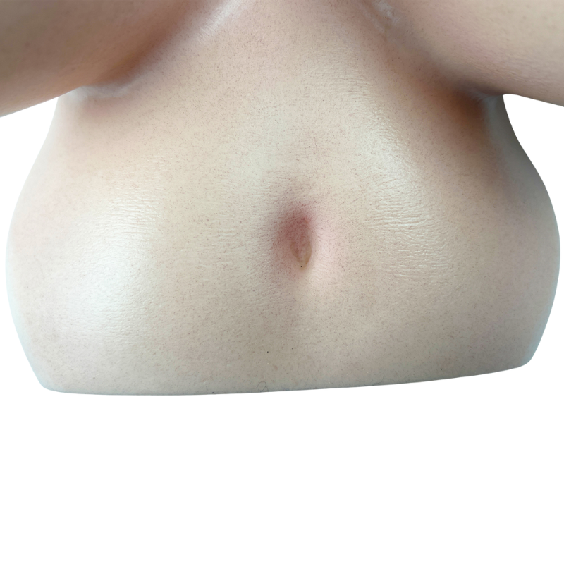 Realistic female torso with detailed skin texture and natural contours for intimate use